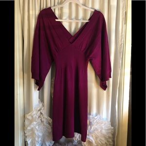 NWOT Vibrant violet dress